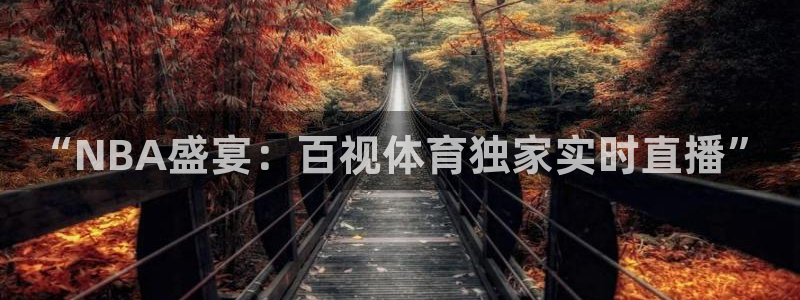 “NBA盛宴：百视体育独家实时直播”