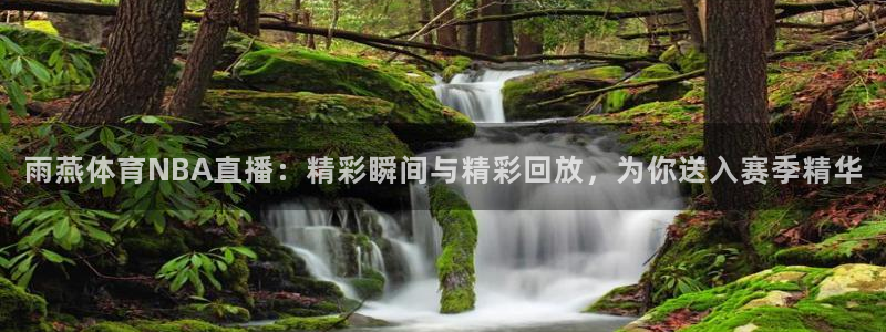 雨燕体育NBA直播：精彩瞬间与精彩回放，为你送入赛季精华