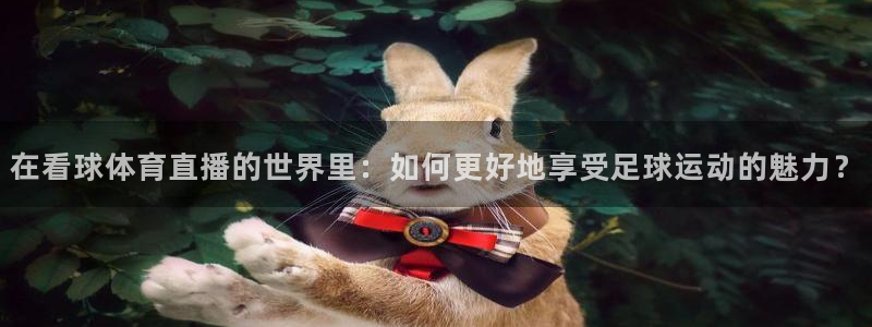 在看球体育直播的世界里：如何更好地享受足球运动的魅力？