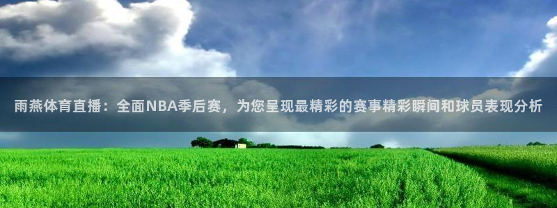雨燕体育直播：全面NBA季后赛，为您呈现最精彩的赛事精彩瞬间和球员表现分析